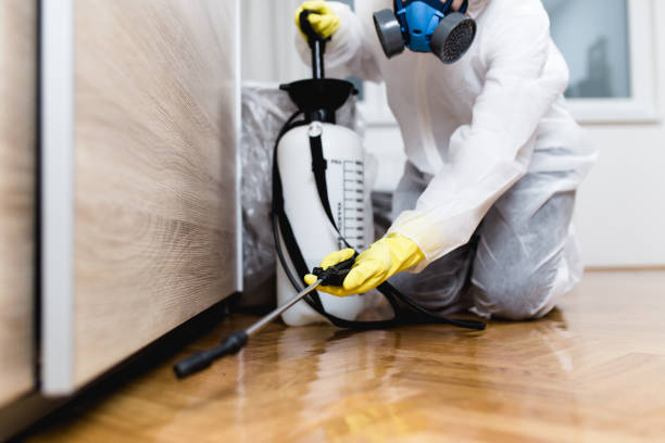 Best Best Pest Control Companies  in Mountain Green, UT