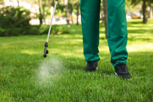 Best Emergency Pest Control  in Mountain Green, UT