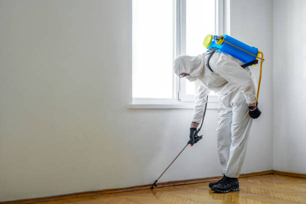 Best Commercial Pest Control Services  in Mountain Green, UT