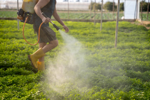 Best Flea Control Services  in Mountain Green, UT