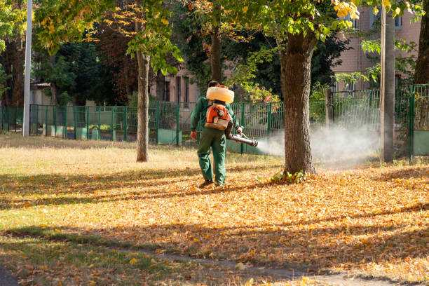 Best Pest Control Near Me  in Mountain Green, UT