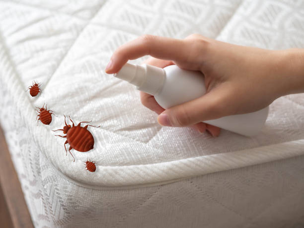 Best Exterminator Services  in Mountain Green, UT