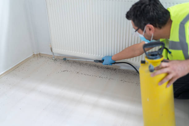 Best Pest Control for Restaurants  in Mountain Green, UT