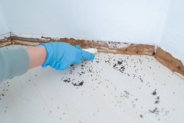 Wildlife Control Services in Mountain Green, UT